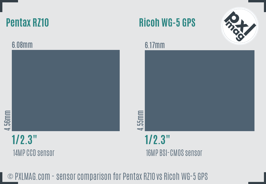 Pentax RZ10 vs Ricoh WG-5 GPS sensor size comparison