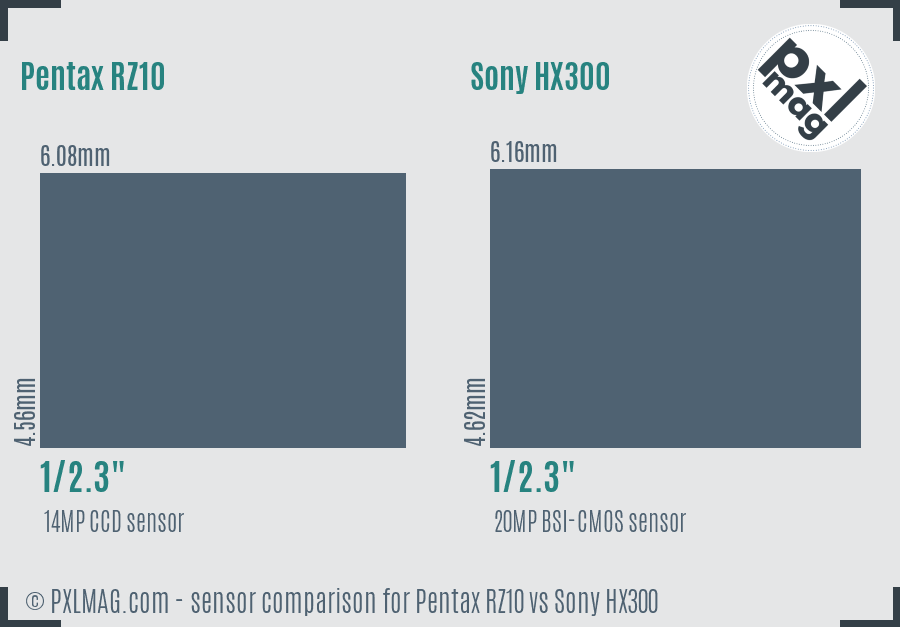 Pentax RZ10 vs Sony HX300 sensor size comparison
