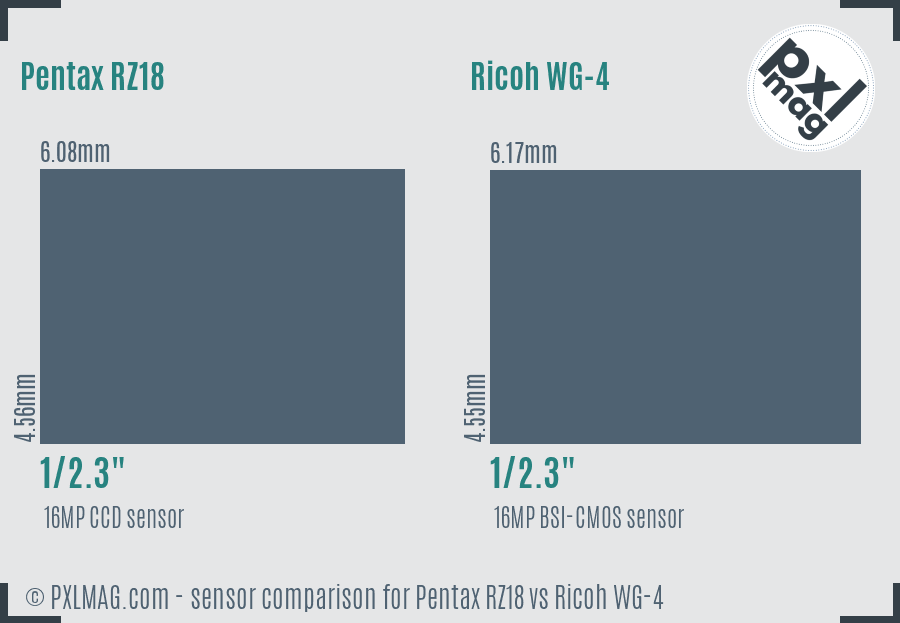 Pentax RZ18 vs Ricoh WG-4 sensor size comparison