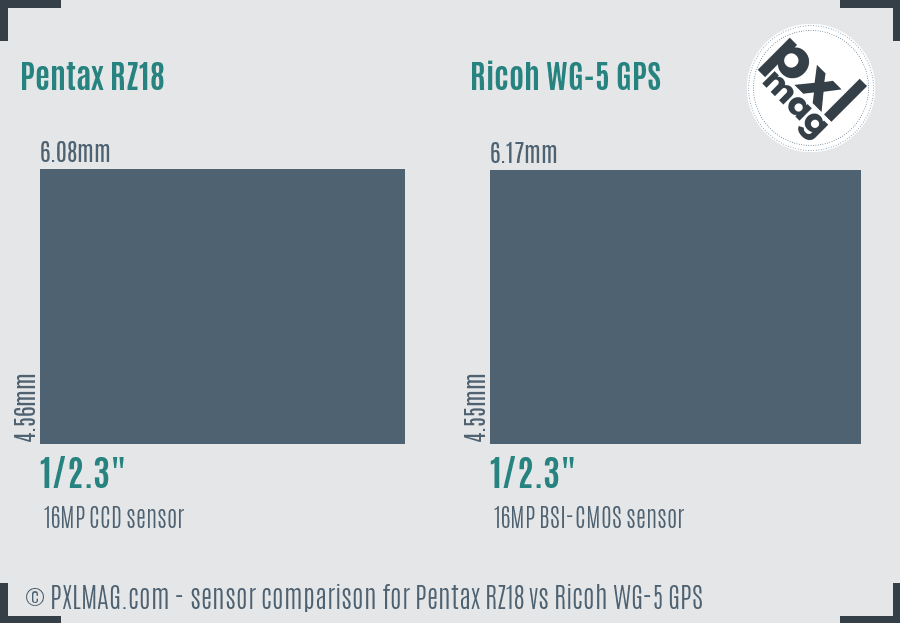 Pentax RZ18 vs Ricoh WG-5 GPS sensor size comparison