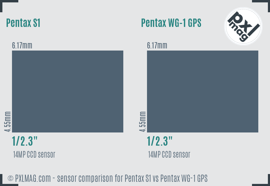 Pentax S1 vs Pentax WG-1 GPS sensor size comparison