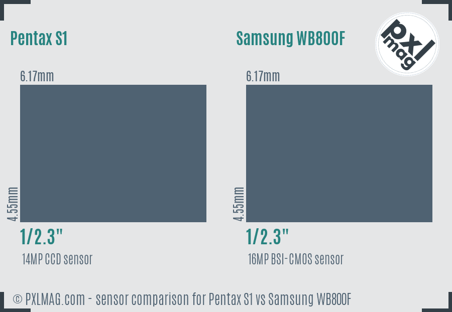 Pentax S1 vs Samsung WB800F sensor size comparison Pentax S1 vs Samsung WB800F sensor size comparison