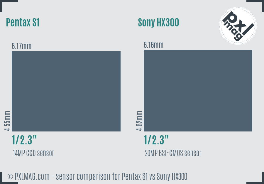 Pentax S1 vs Sony HX300 sensor size comparison Pentax S1 vs Sony HX300 sensor size comparison