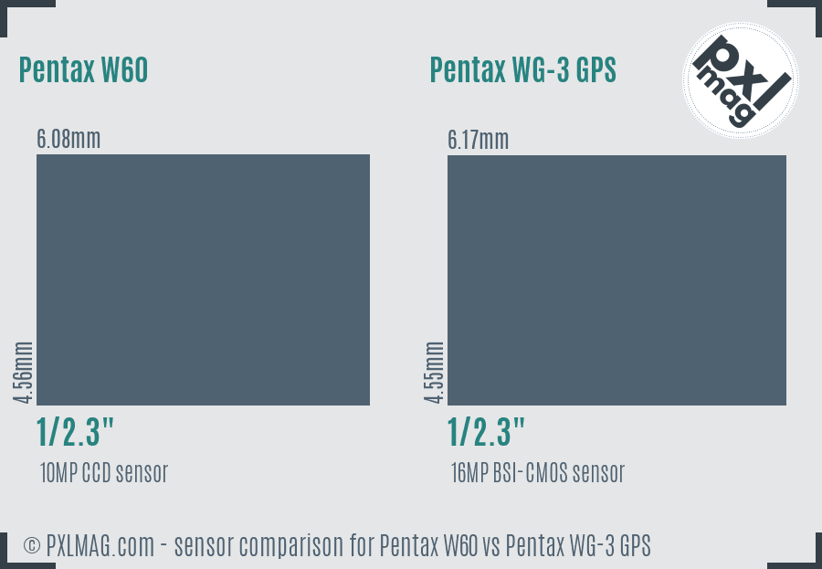 Pentax W60 vs Pentax WG-3 GPS sensor size comparison