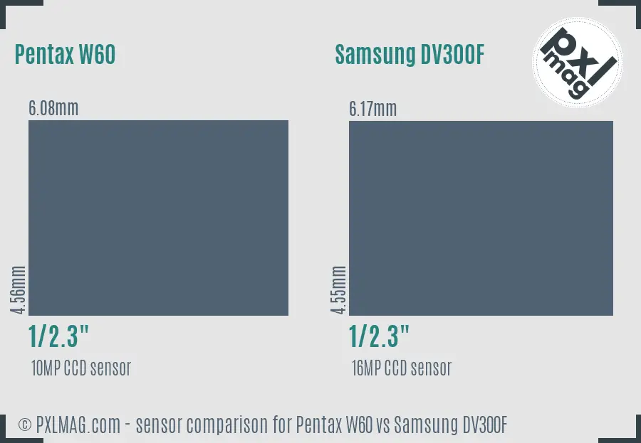 Pentax W60 vs Samsung DV300F sensor size comparison