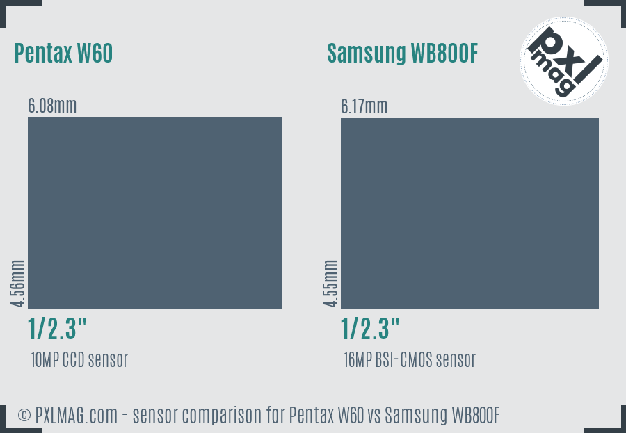 Pentax W60 vs Samsung WB800F sensor size comparison