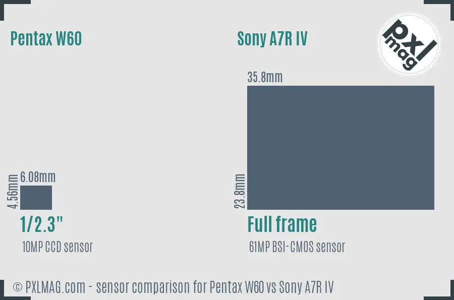 Pentax W60 vs Sony A7R IV sensor size comparison