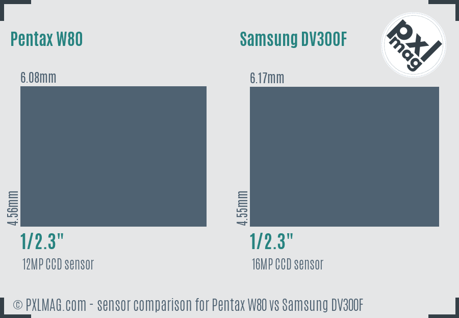 Pentax W80 vs Samsung DV300F sensor size comparison
