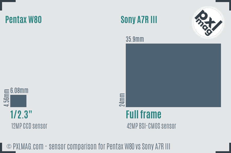 Pentax W80 vs Sony A7R III sensor size comparison