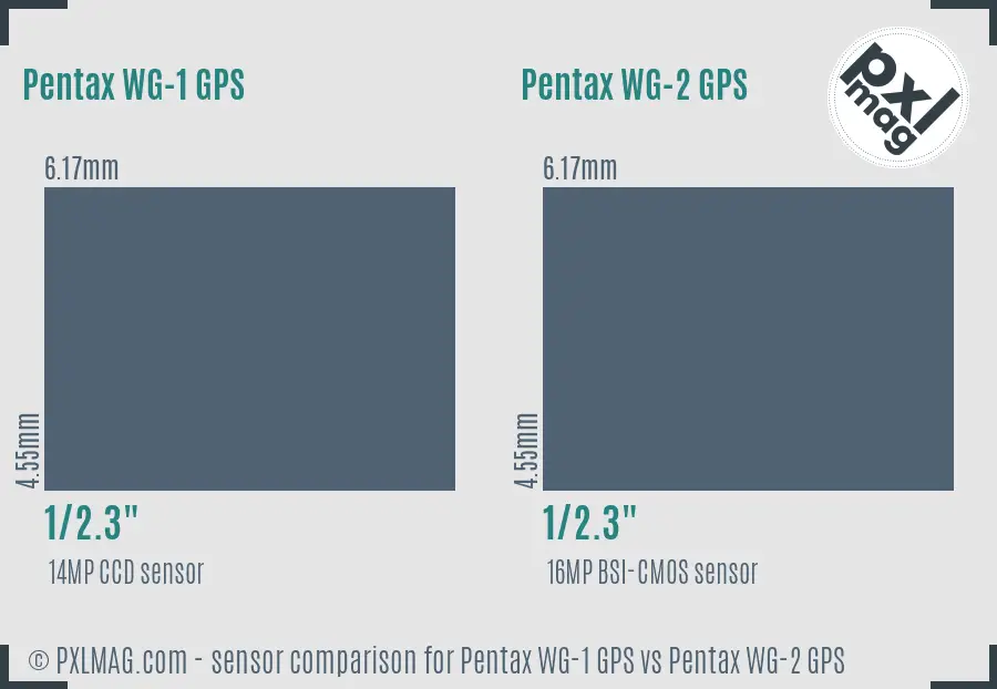 Pentax WG-1 GPS vs Pentax WG-2 GPS sensor size comparison