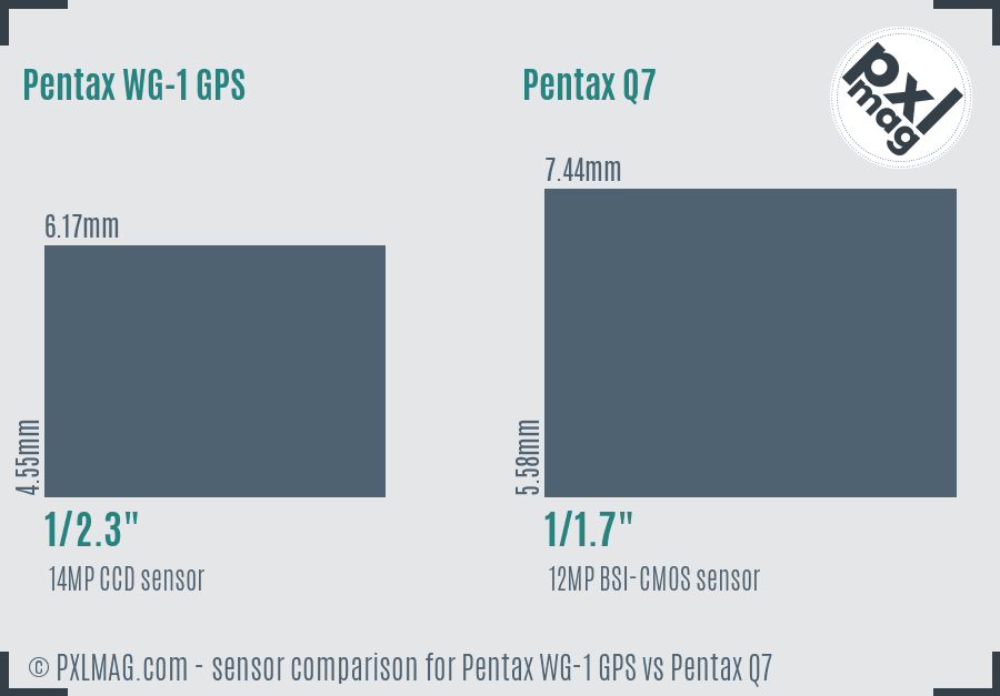 Pentax WG-1 GPS vs Pentax Q7 sensor size comparison Pentax WG-1 GPS vs Pentax Q7 sensor size comparison