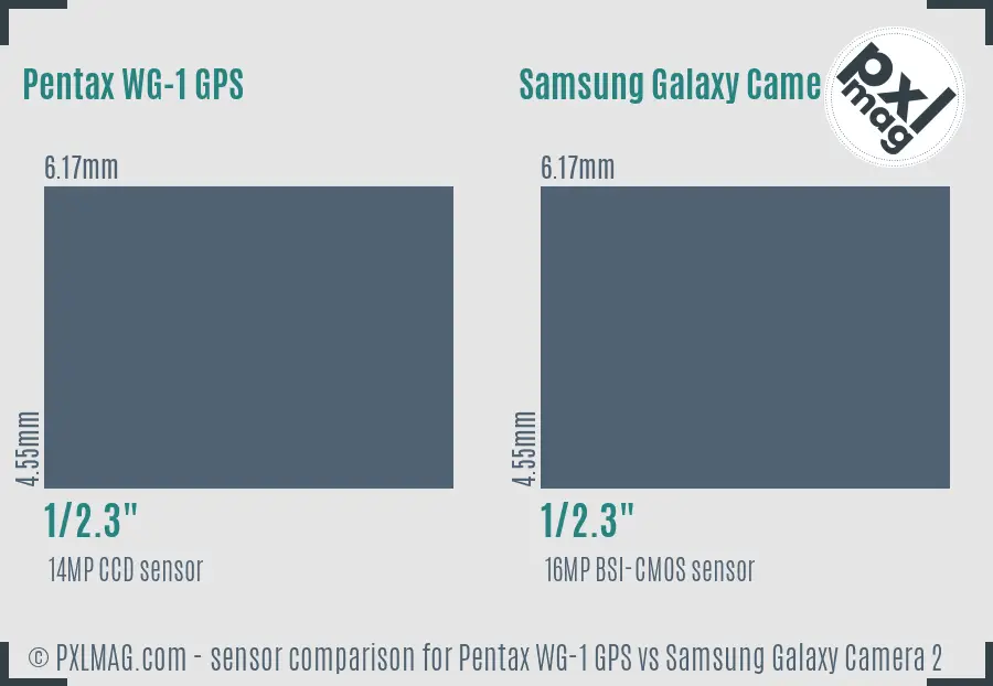 Pentax WG-1 GPS vs Samsung Galaxy Camera 2 sensor size comparison