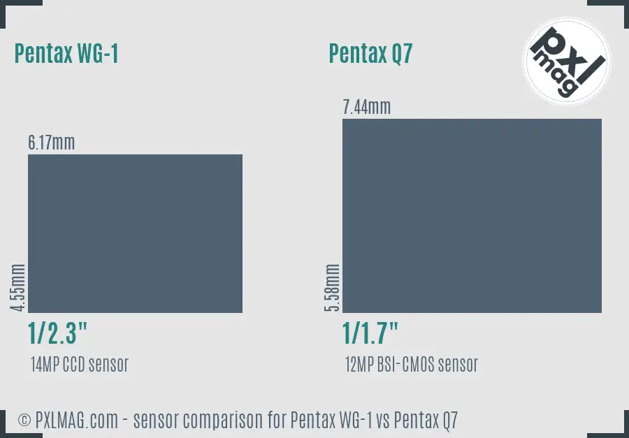 Pentax WG-1 vs Pentax Q7 sensor size comparison Pentax WG-1 vs Pentax Q7 sensor size comparison