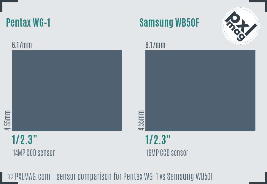 Pentax WG-1 vs Samsung WB50F sensor size comparison