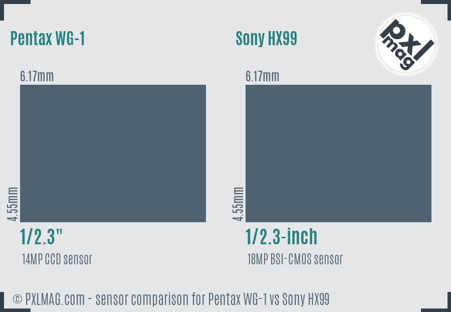 Pentax WG-1 vs Sony HX99 sensor size comparison