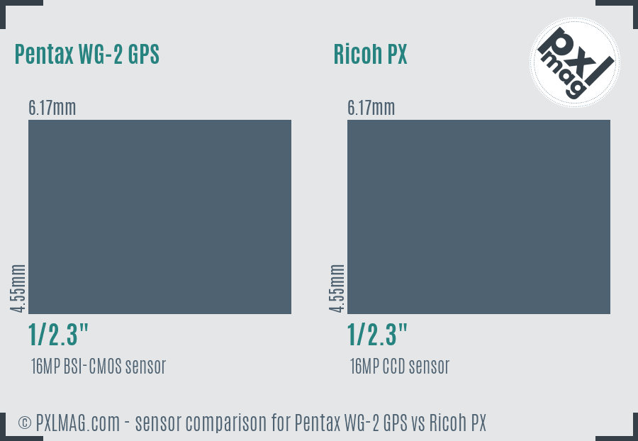 Pentax WG-2 GPS vs Ricoh PX sensor size comparison