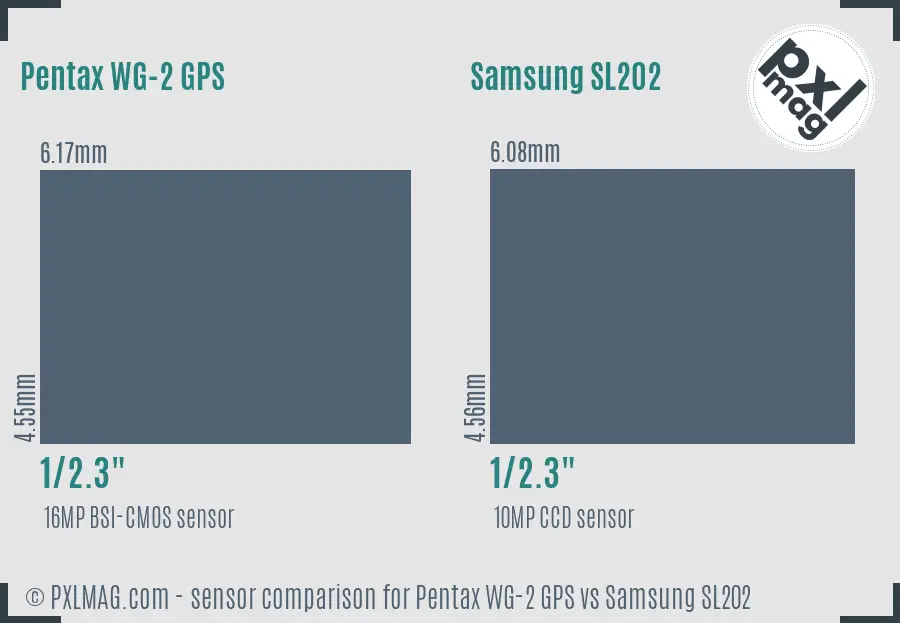 Pentax WG-2 GPS vs Samsung SL202 sensor size comparison