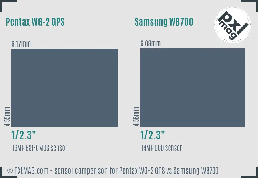 Pentax WG-2 GPS vs Samsung WB700 sensor size comparison