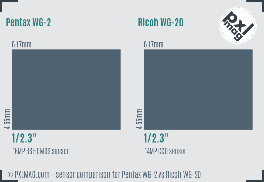 Pentax WG-2 vs Ricoh WG-20 sensor size comparison Pentax WG-2 vs Ricoh WG-20 sensor size comparison