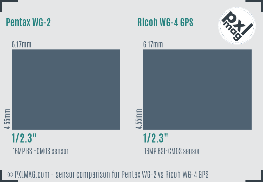 Pentax WG-2 vs Ricoh WG-4 GPS sensor size comparison