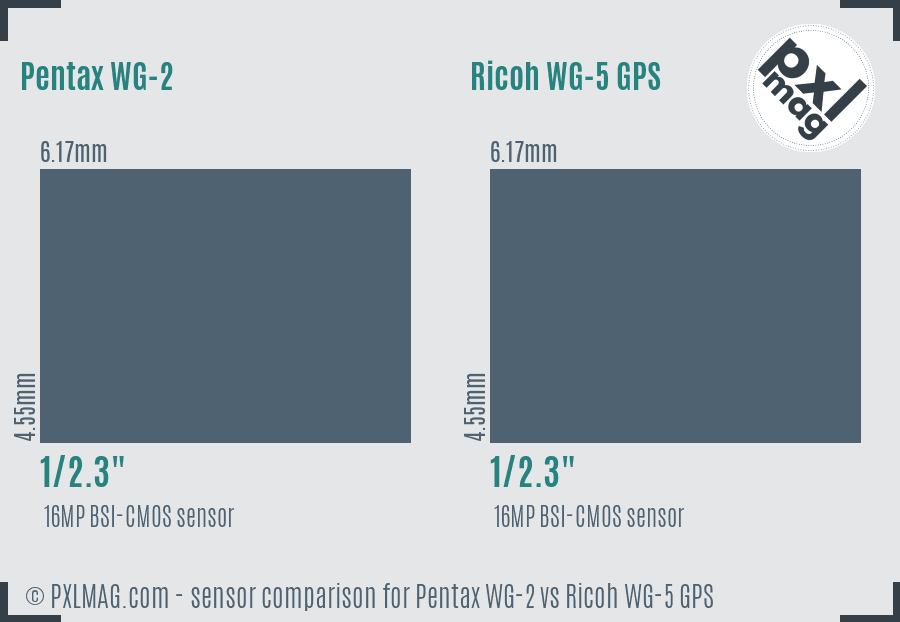 Pentax WG-2 vs Ricoh WG-5 GPS sensor size comparison