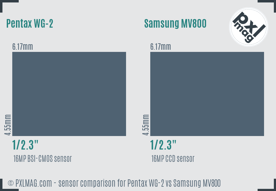 Pentax WG-2 vs Samsung MV800 sensor size comparison