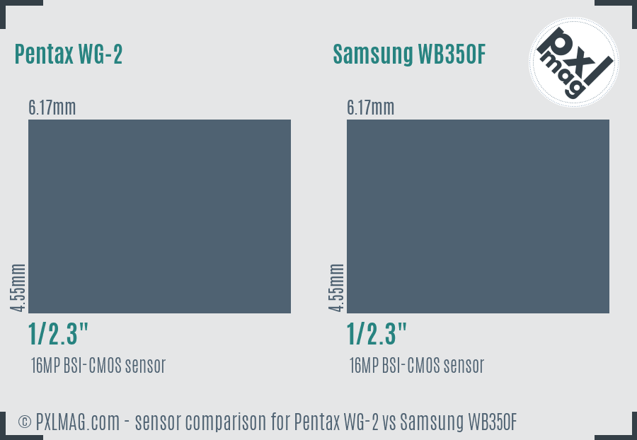 Pentax WG-2 vs Samsung WB350F sensor size comparison Pentax WG-2 vs Samsung WB350F sensor size comparison