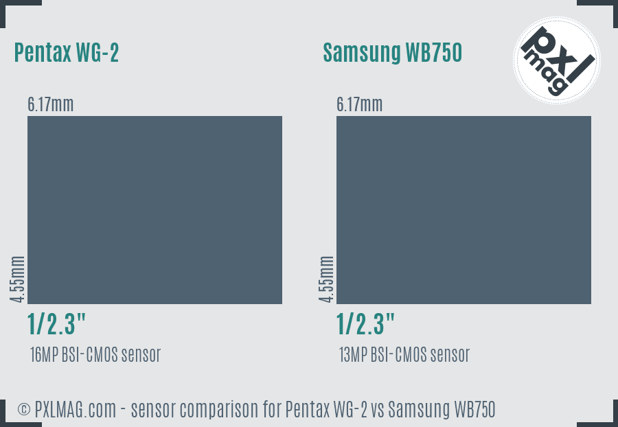 Pentax WG-2 vs Samsung WB750 sensor size comparison Pentax WG-2 vs Samsung WB750 sensor size comparison