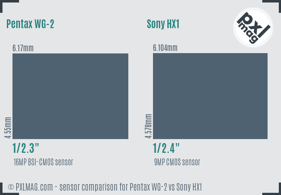 Pentax WG-2 vs Sony HX1 sensor size comparison