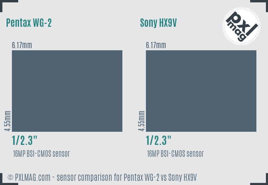 Pentax WG-2 vs Sony HX9V sensor size comparison