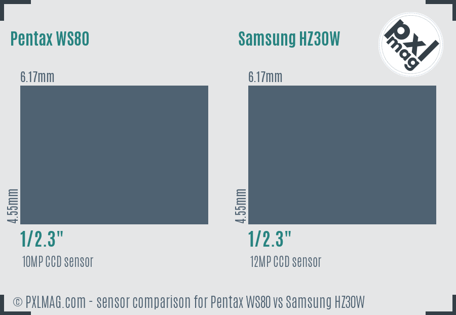 Pentax WS80 vs Samsung HZ30W sensor size comparison