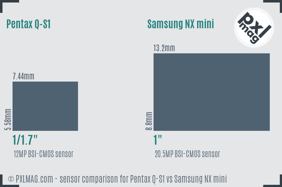 Pentax Q-S1 vs Samsung NX mini sensor size comparison
