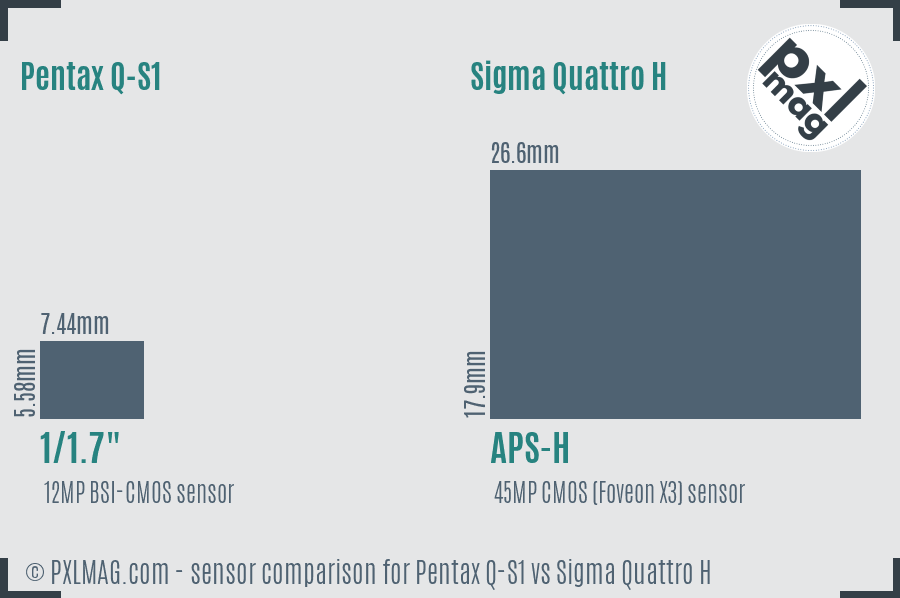 Pentax Q-S1 vs Sigma Quattro H sensor size comparison