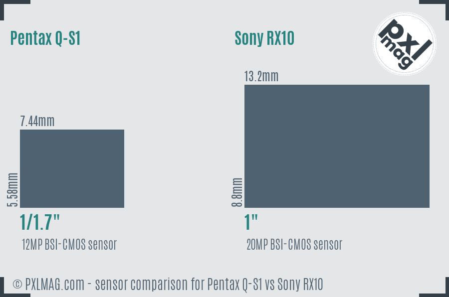 Pentax Q-S1 vs Sony RX10 sensor size comparison