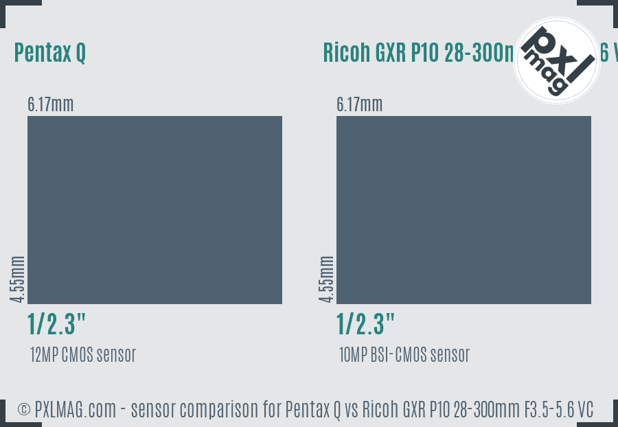 Pentax Q vs Ricoh GXR P10 28-300mm F3.5-5.6 VC sensor size comparison