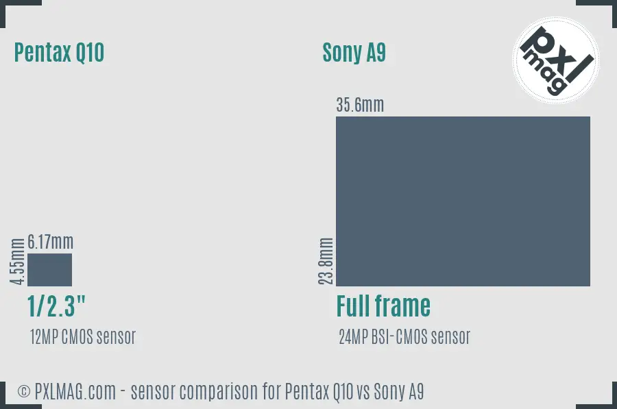 Pentax Q10 vs Sony A9 sensor size comparison