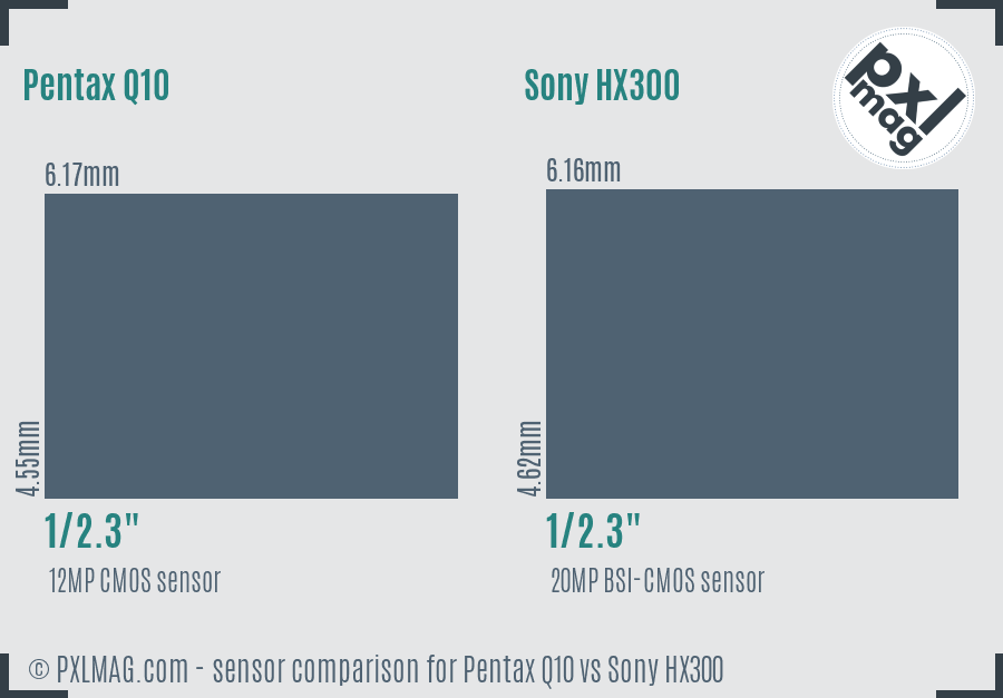 Pentax Q10 vs Sony HX300 sensor size comparison