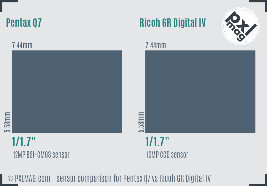 Pentax Q7 vs Ricoh GR Digital IV sensor size comparison