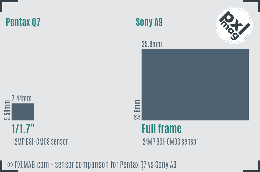 Pentax Q7 vs Sony A9 sensor size comparison