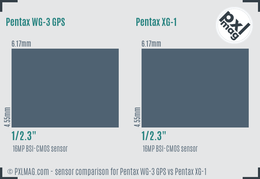 Pentax WG-3 GPS vs Pentax XG-1 sensor size comparison