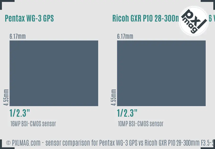 Pentax WG-3 GPS vs Ricoh GXR P10 28-300mm F3.5-5.6 VC sensor size comparison