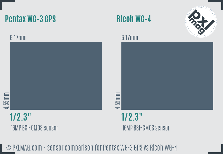 Pentax WG-3 GPS vs Ricoh WG-4 sensor size comparison