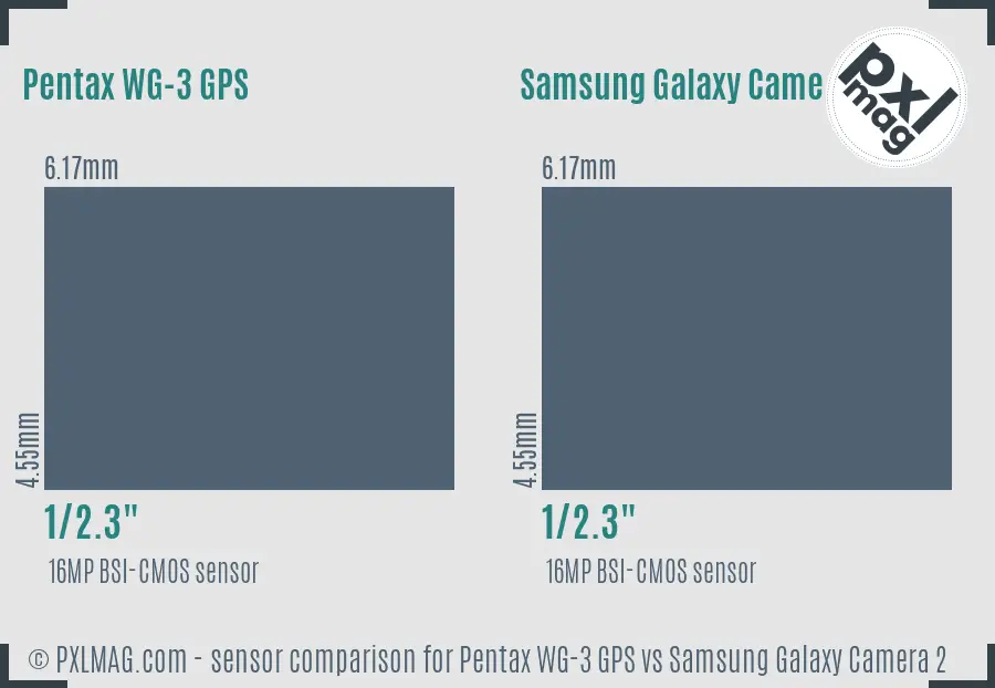 Pentax WG-3 GPS vs Samsung Galaxy Camera 2 sensor size comparison