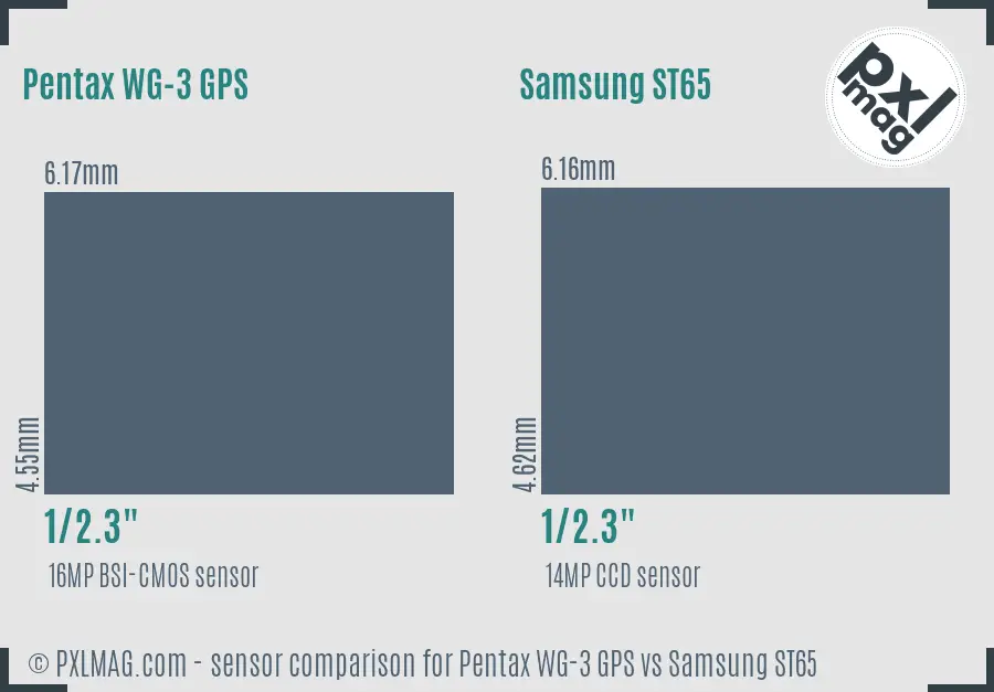 Pentax WG-3 GPS vs Samsung ST65 sensor size comparison