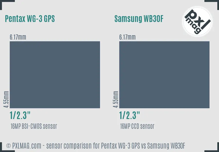 Pentax WG-3 GPS vs Samsung WB30F sensor size comparison