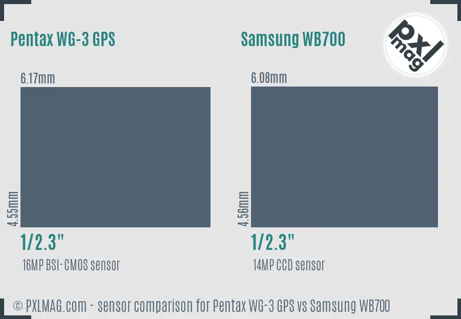 Pentax WG-3 GPS vs Samsung WB700 sensor size comparison