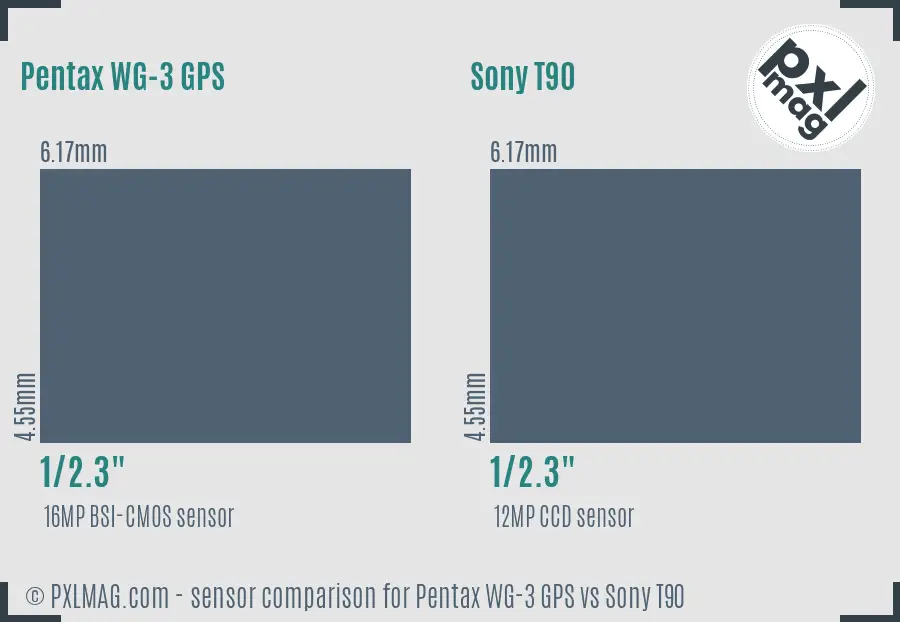 Pentax WG-3 GPS vs Sony T90 sensor size comparison