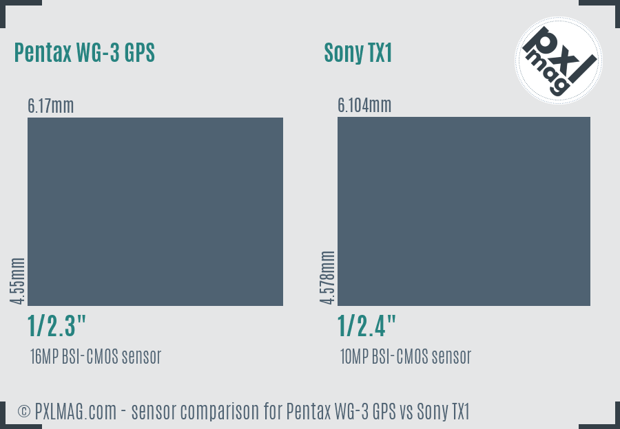 Pentax WG-3 GPS vs Sony TX1 sensor size comparison