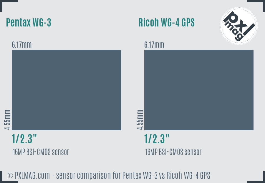 Pentax WG-3 vs Ricoh WG-4 GPS sensor size comparison