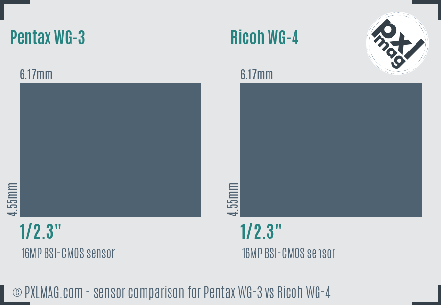 Pentax WG-3 vs Ricoh WG-4 sensor size comparison